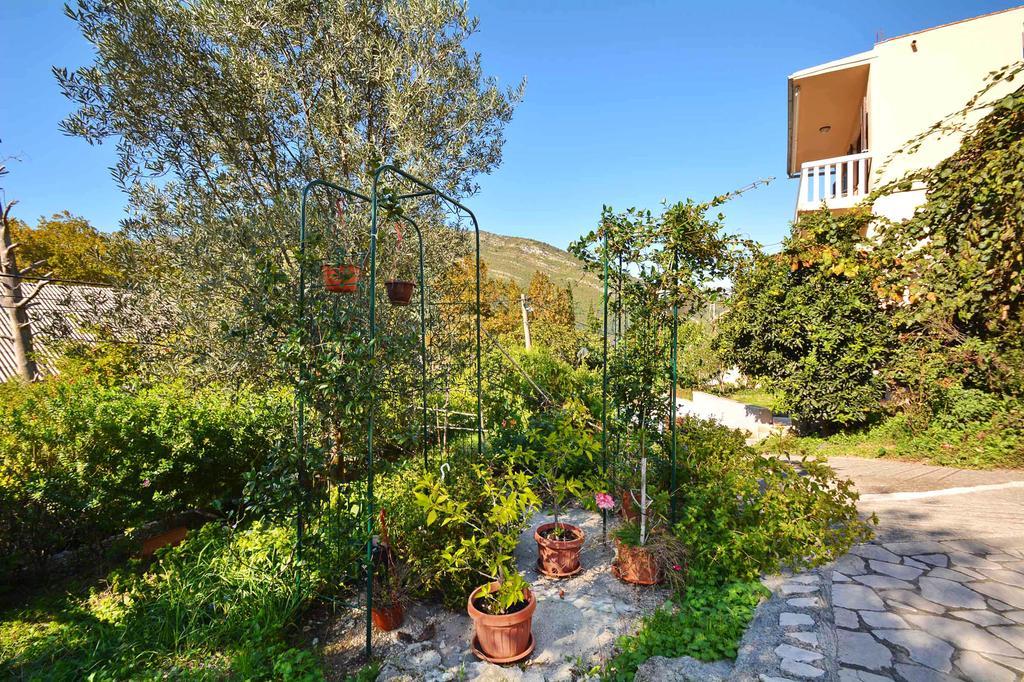 Apartment Rita Tivat Exterior foto